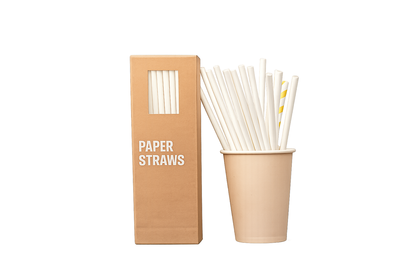 Paper Straws